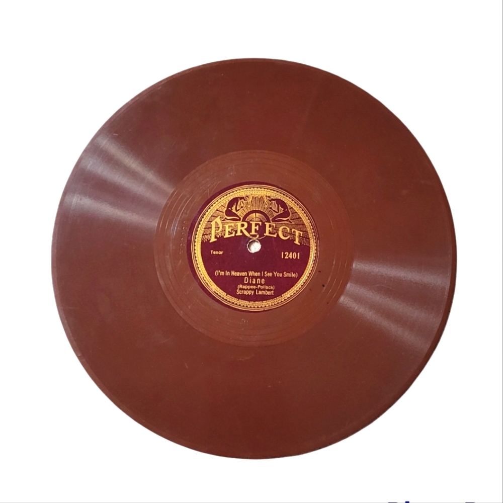 Perfect records brown vinyl album-78